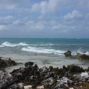 Meet your Posher, Sasha